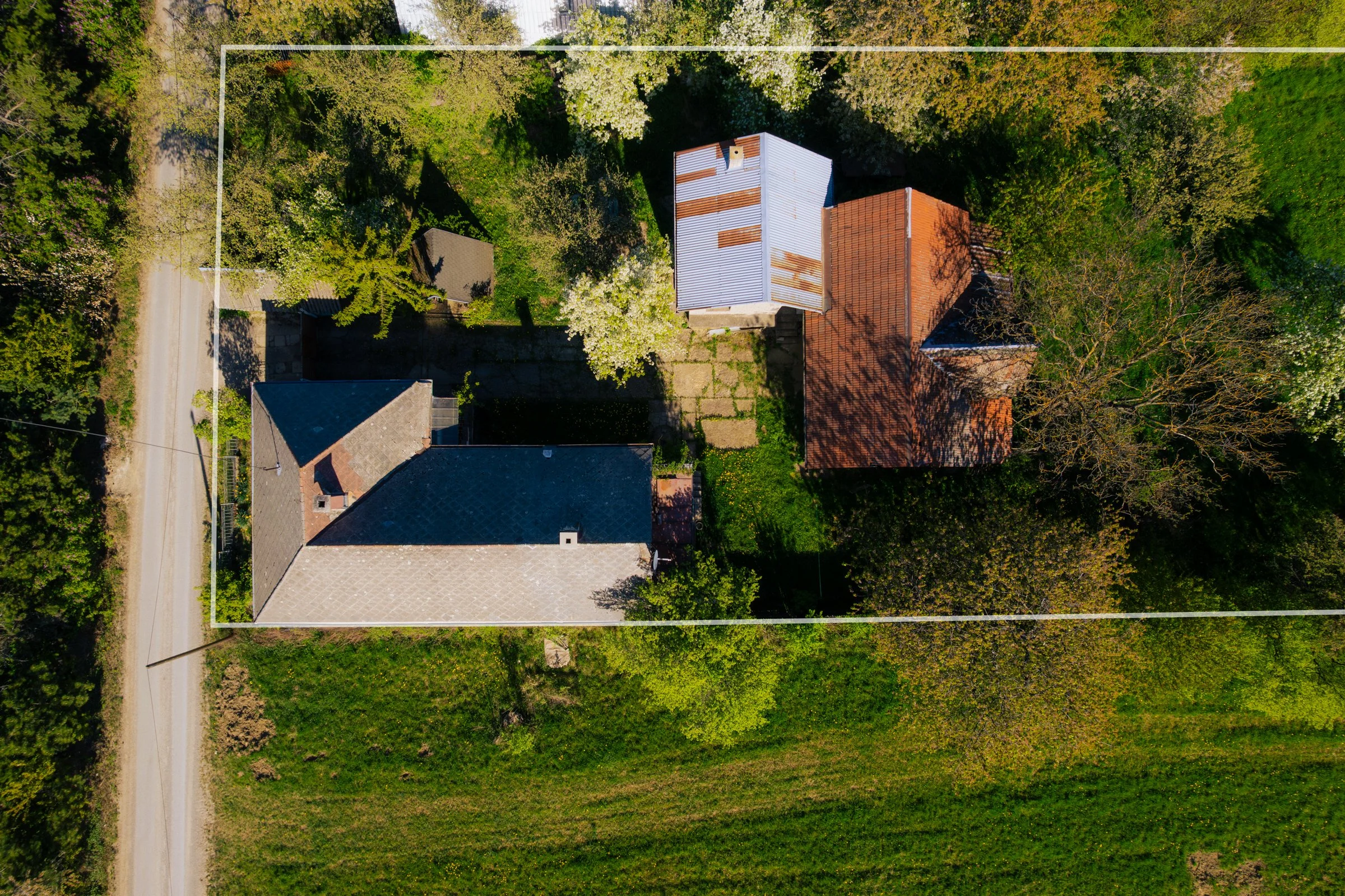 DJI_0561.jpg