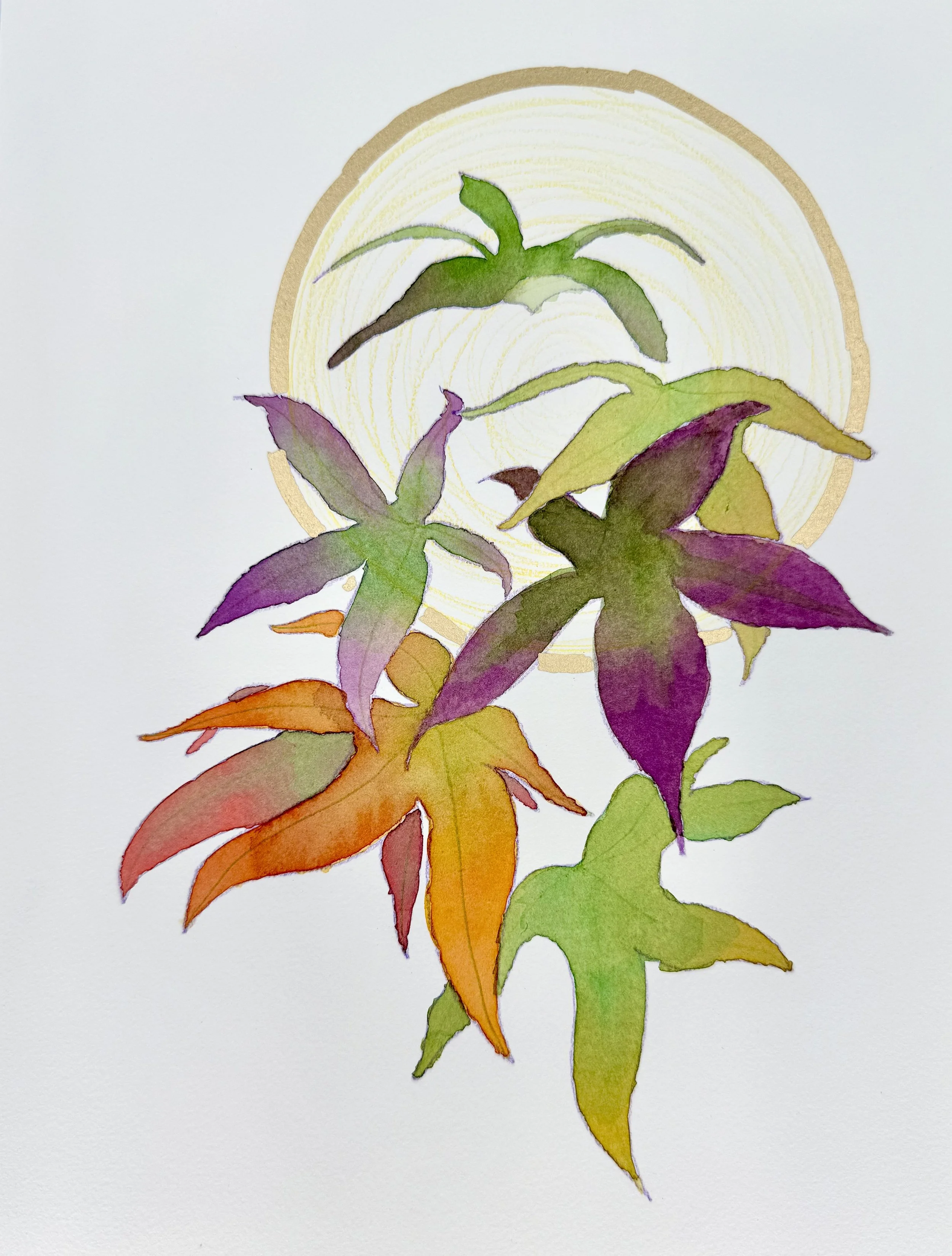 a watercolor painting of Sweetgum leaves in fall with a golden halo sun behind them