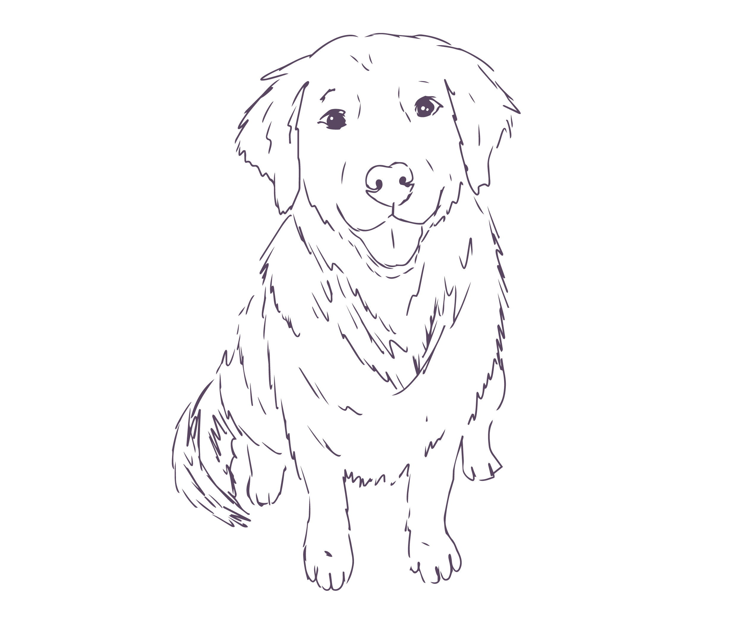 Line drawing of a dog with long fur and floppy ears, facing slightly to the right.
