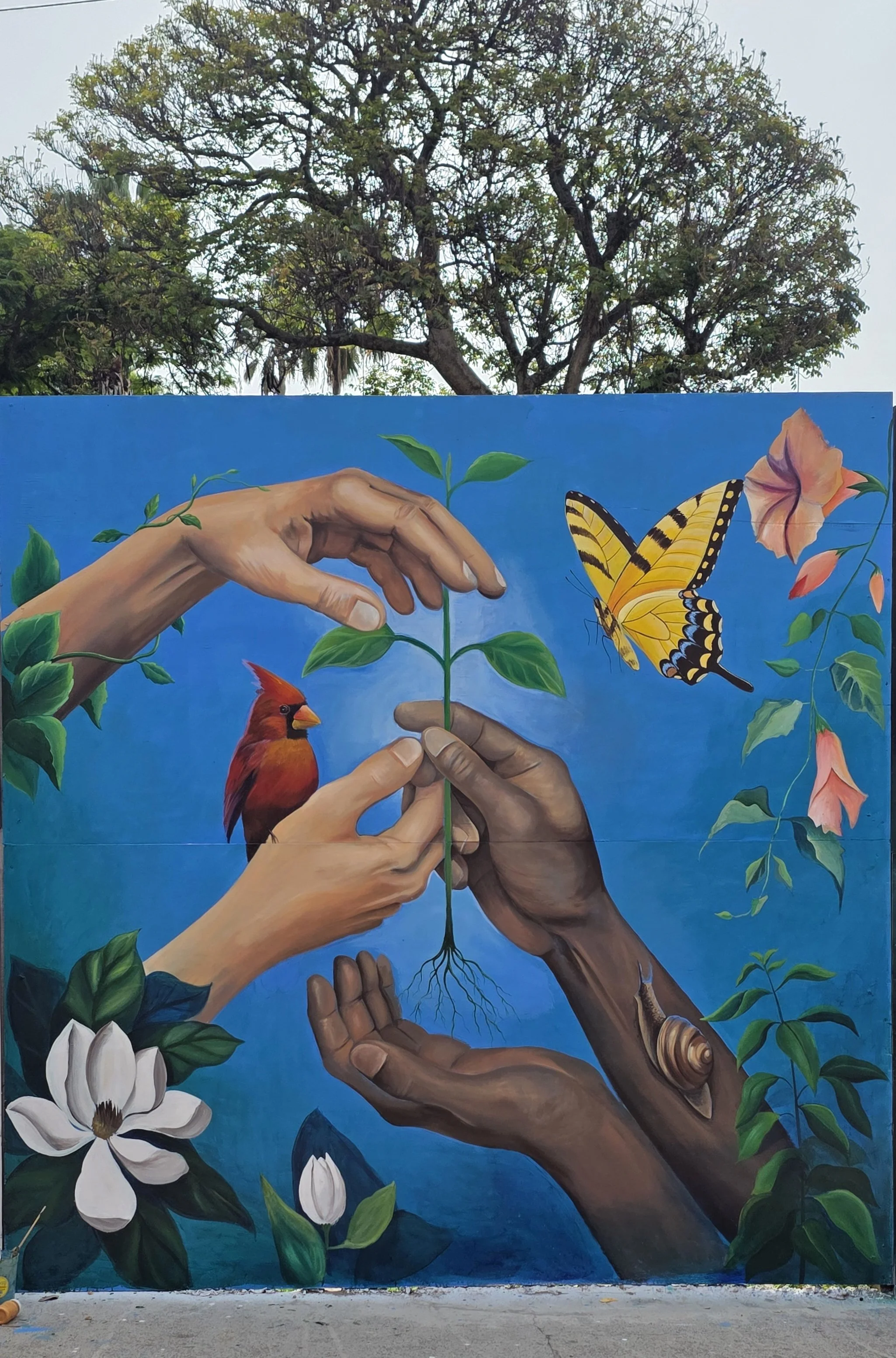 Mural - Exterior Calle - Manos.jpg