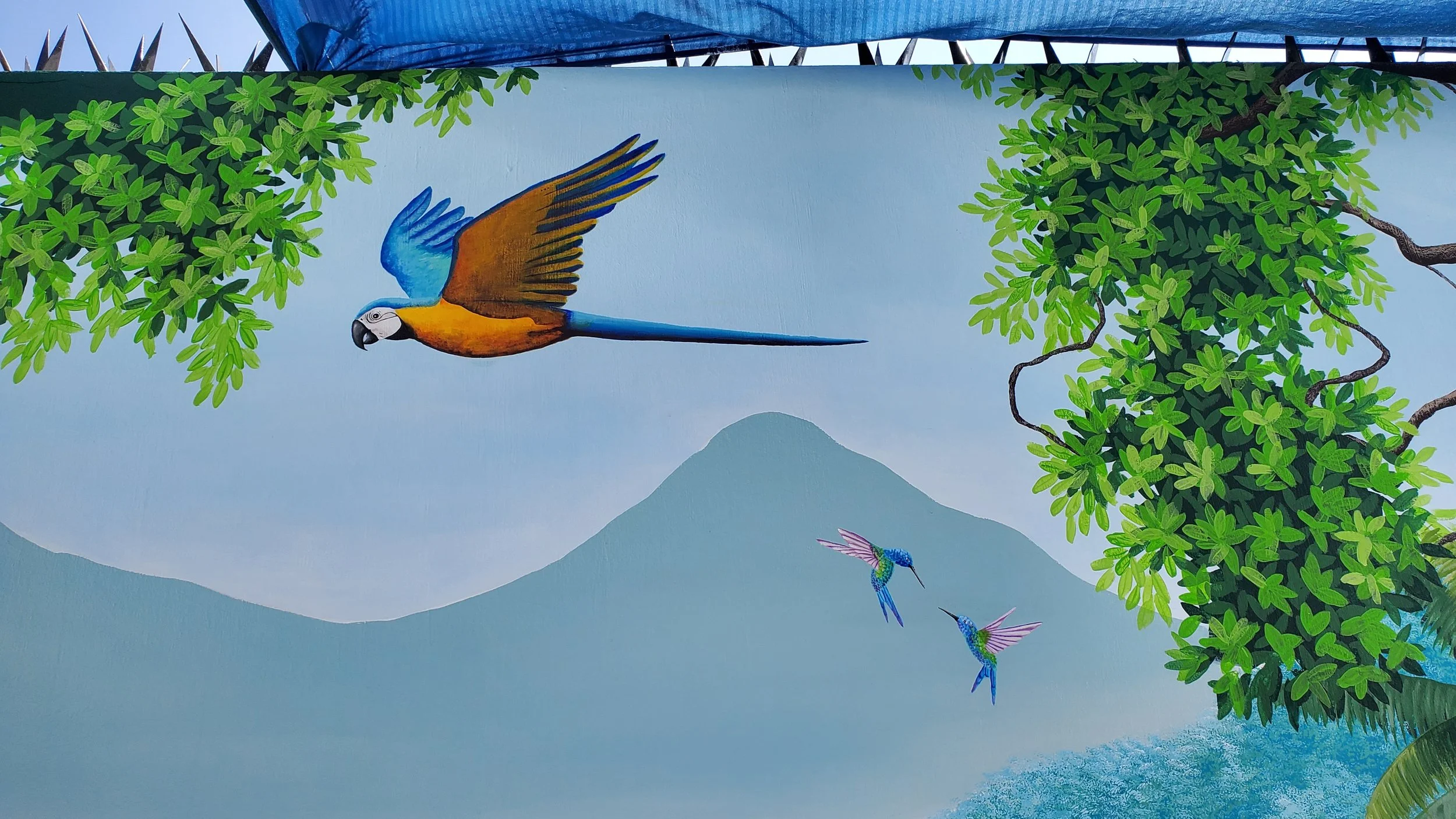 Mural - Pool Area Exterior 9.jpg