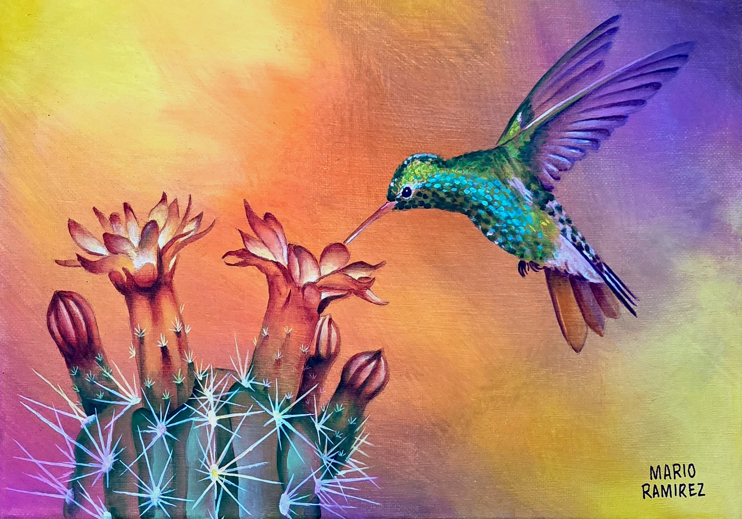 2026-02-Hummingbird.jpg