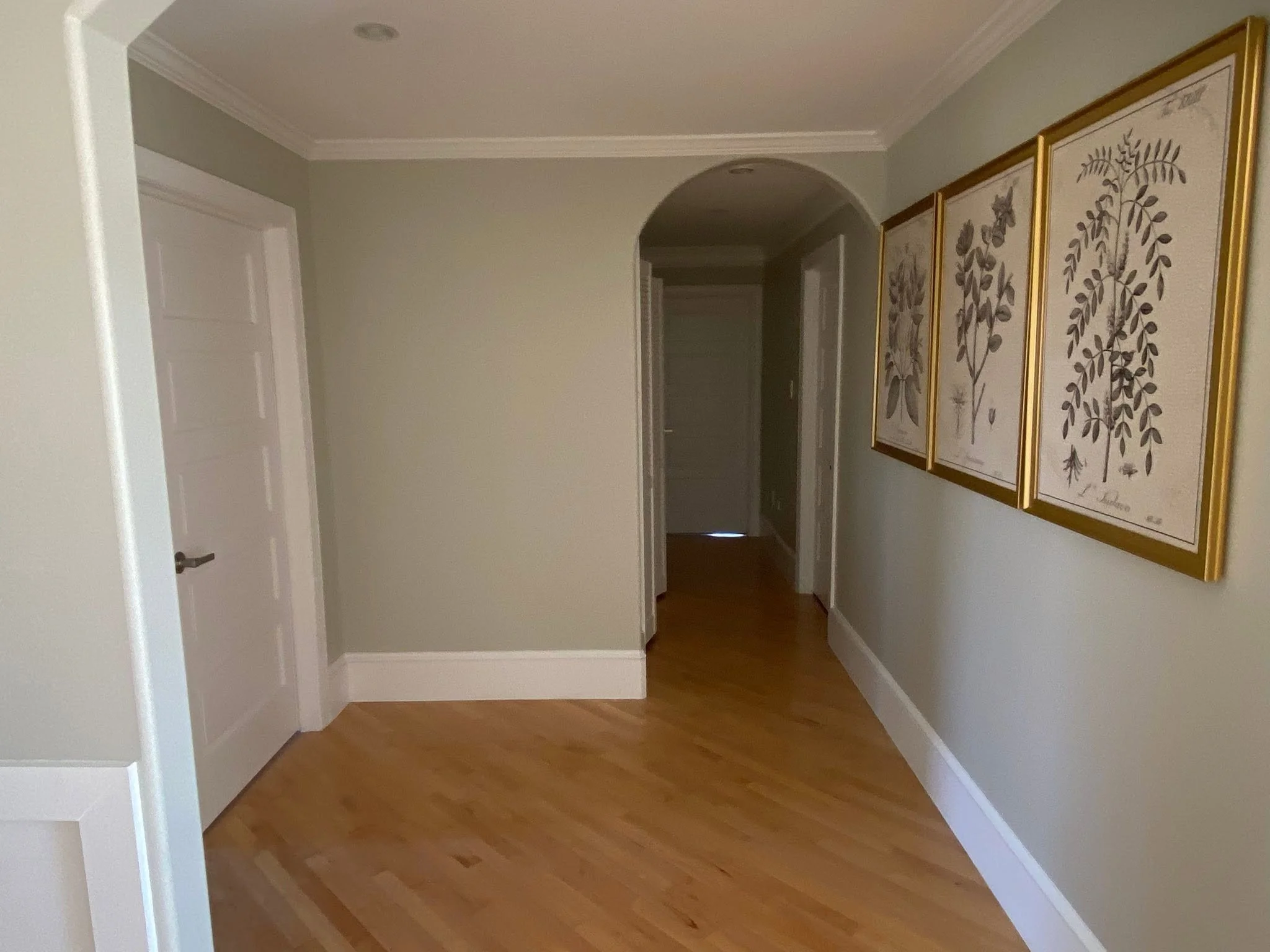 Interior of a home hallway with wooden flooring, off-white walls, framed botanical art on the right wall, and doorways leading to other rooms.