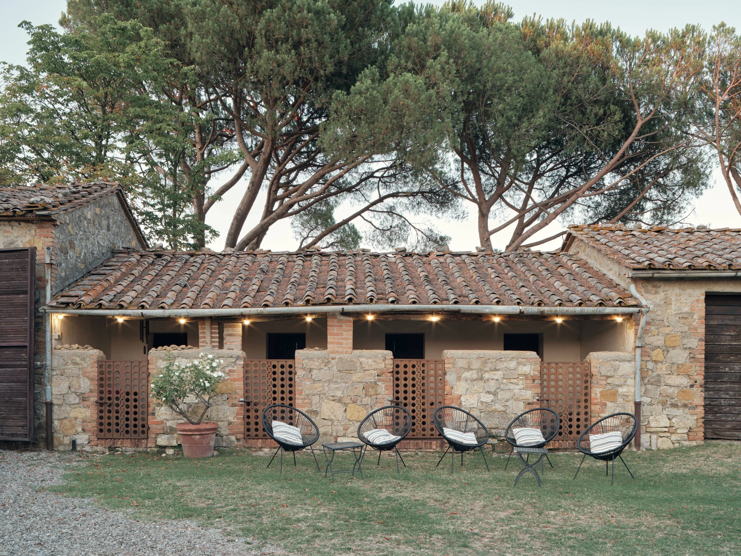 An outdoor patio scene with four black modern chairs with striped cushions arranged on a lawn in front of a stone and brick house with a tiled roof. A potted plant and a small tree are also present on the patio. Tall trees with green foliage are visi