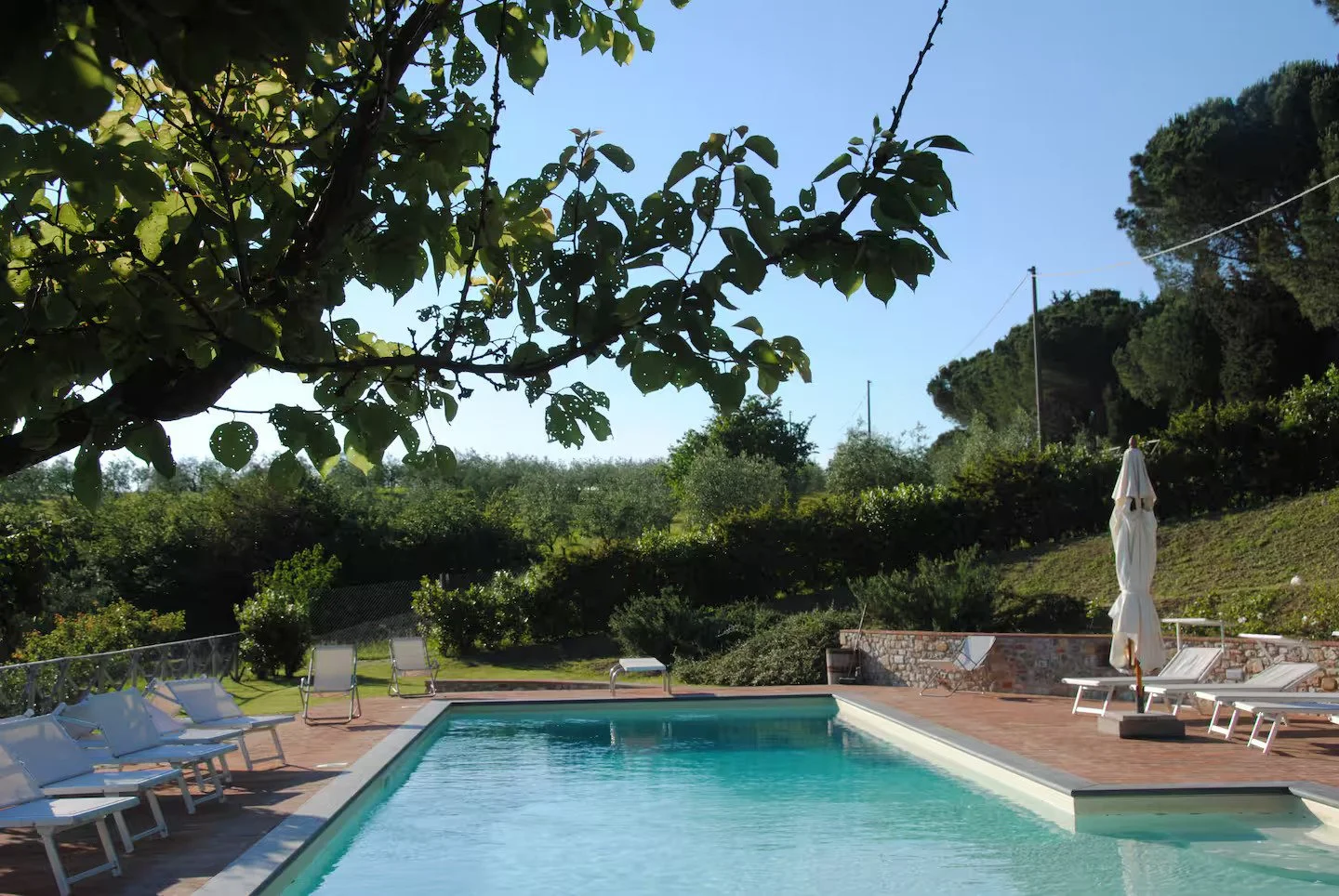 A backyard swimming pool area surrounded by lounge chairs and umbrellas, with lush green trees and bushes in the background under a clear blue sky.
