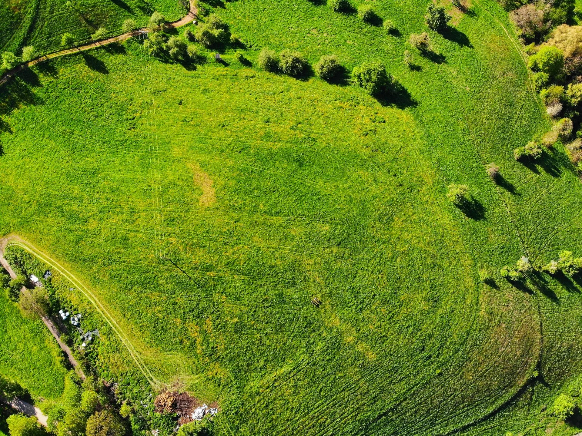 An aerial view of a lush green grassy field with scattered trees and a dirt path running through the field. There is a small structure or shed near the trees on the top side of the image and some electrical lines crossing the field. The image captures the vibrant greenery and open space in a rural or park setting.