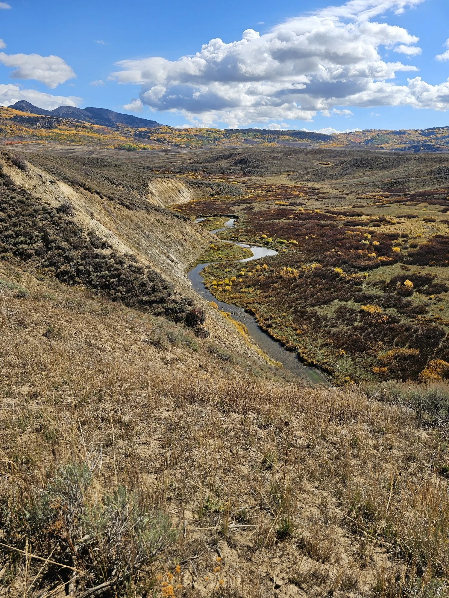 A landscape with rolling hills, a winding river, and a backdrop of mountains under a partly cloudy blue sky.