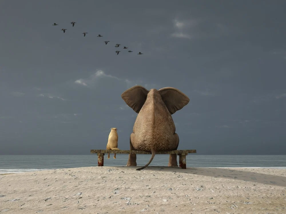 How Relationships Evolve (or Fail)