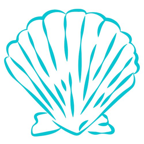 Outline of a scallop shell with detailed ridges in light blue on a transparent background.
