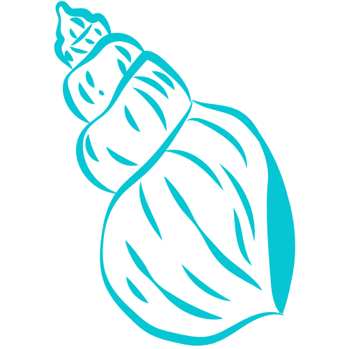 Line drawing of a conch shell in blue on a black background.