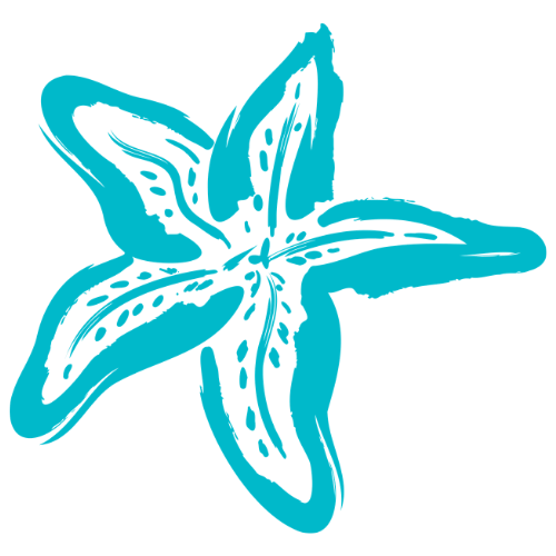 Blue starfish illustration with detailed patterns on its arms.