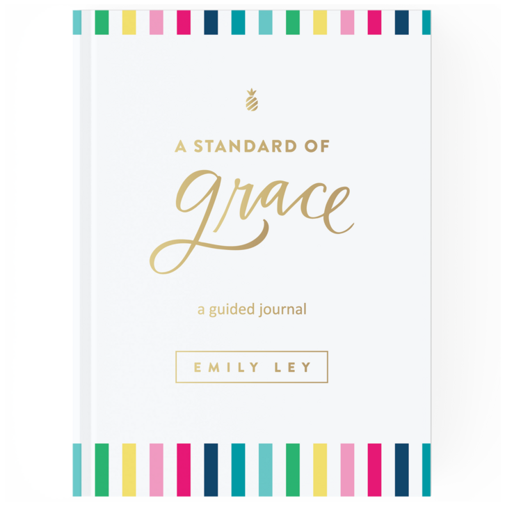 Cover of a guided journal titled "A Standard of Grace" by Emily Ley, featuring colorful stripes along the top and bottom edges.