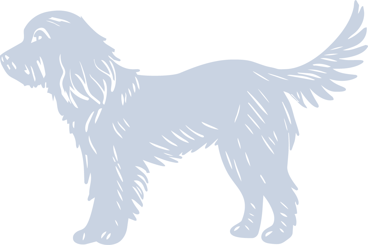 Illustration of a large, fluffy dog with a long tail, standing sideways, facing left.