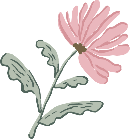 Illustration of a pink flower with green leaves on a stem.