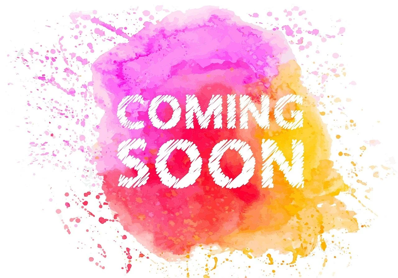 Traveler 0003 *Coming Soon*