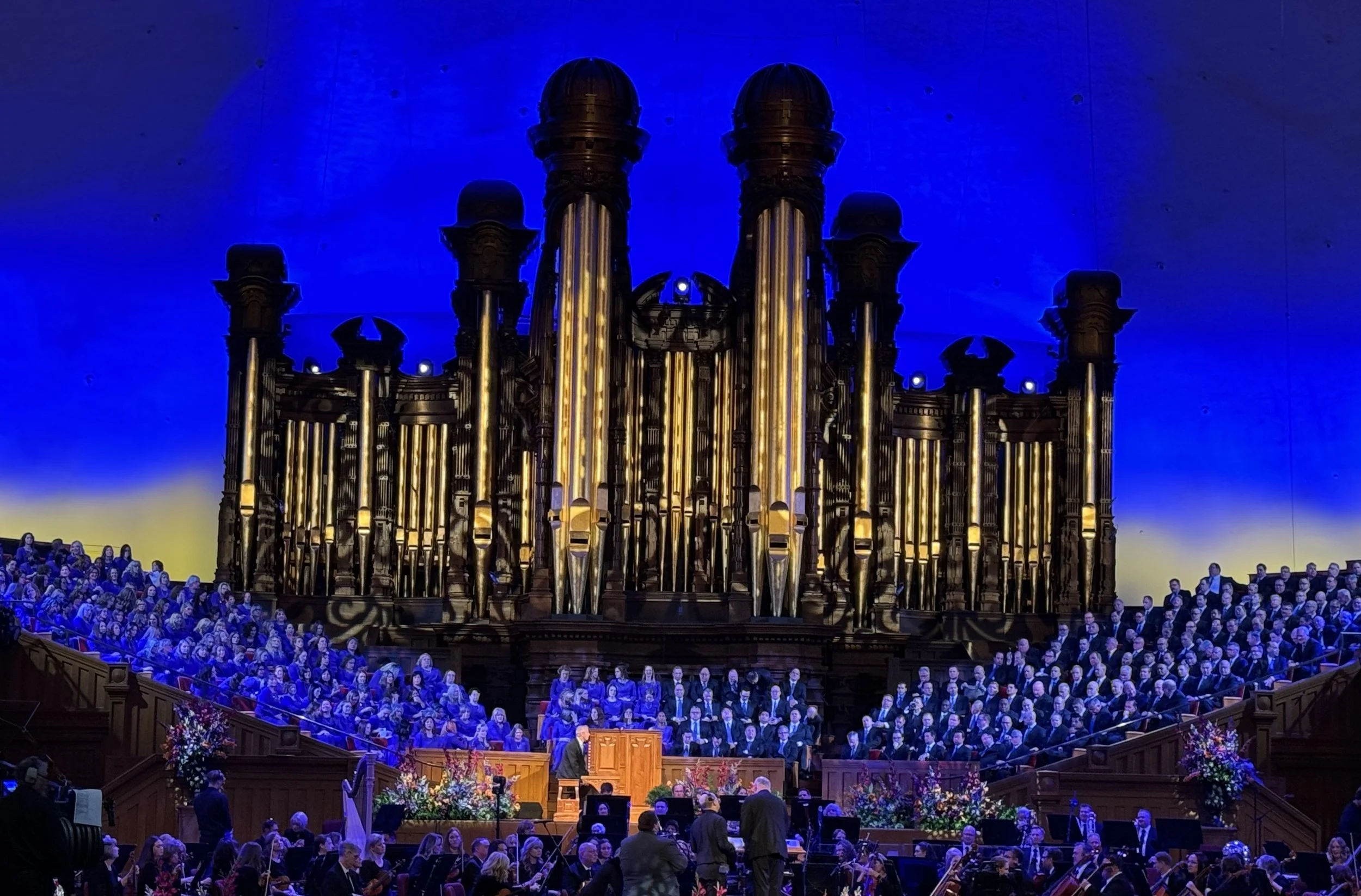 IMG_8288 2.jpg