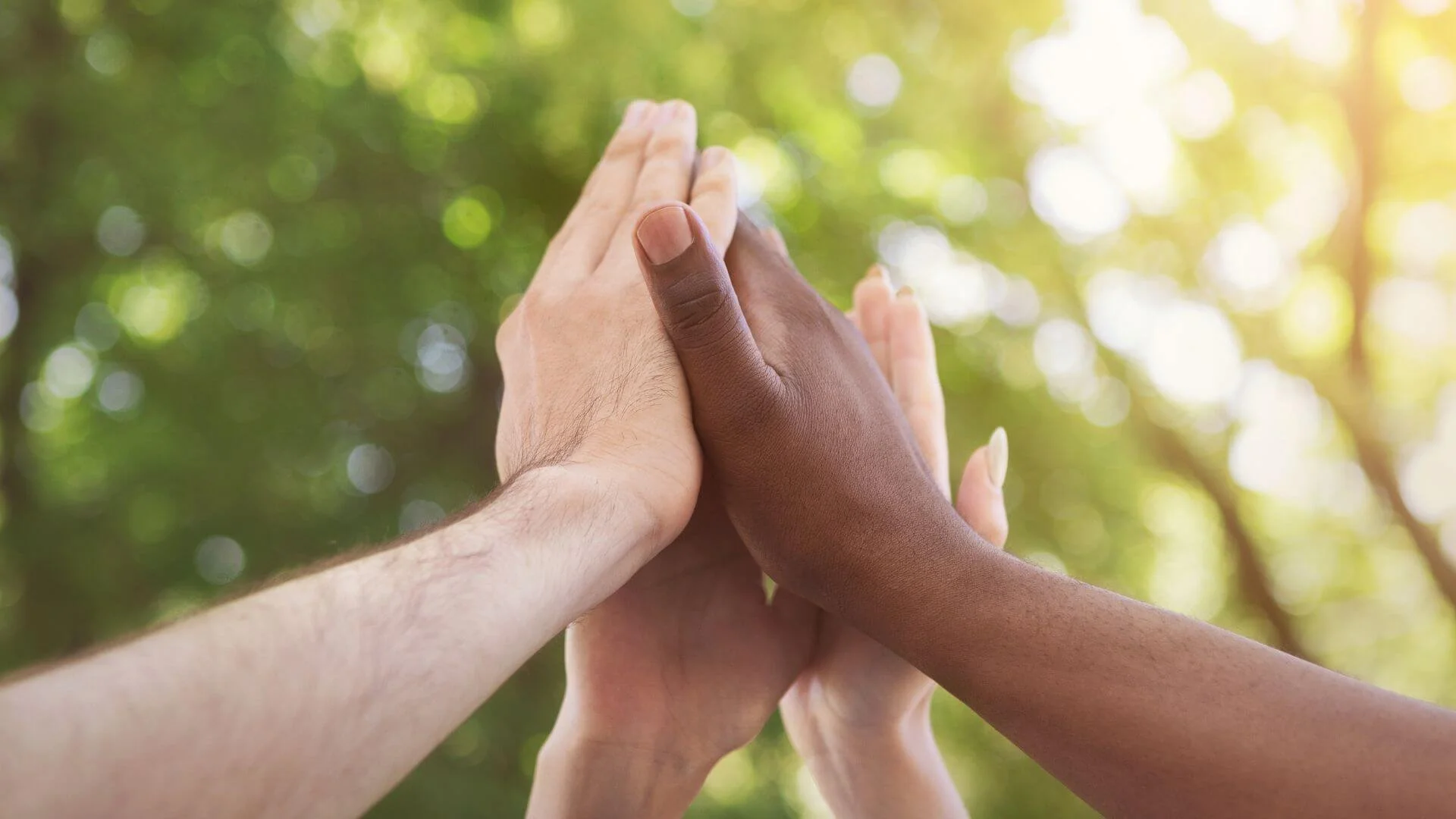 a group high fiving
