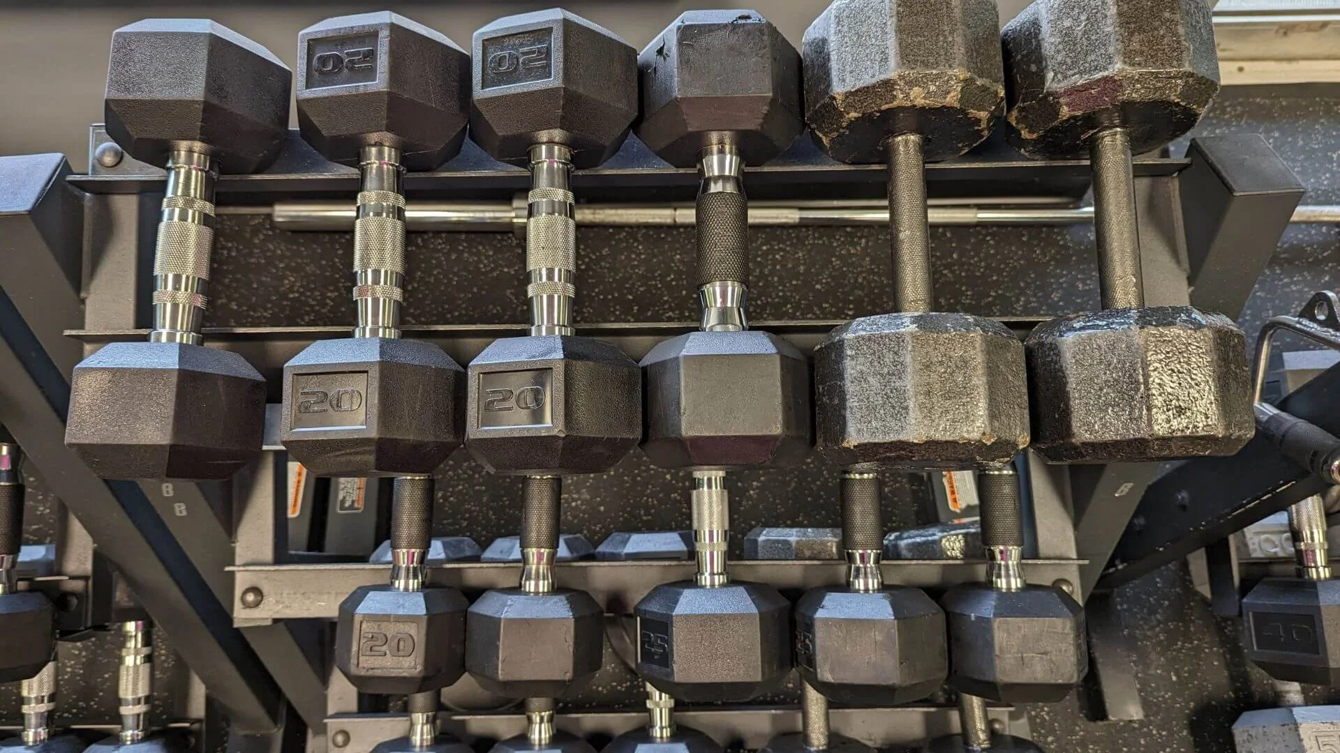 Free Weights Vs Machines: Why We Think Free Weights Are Superior