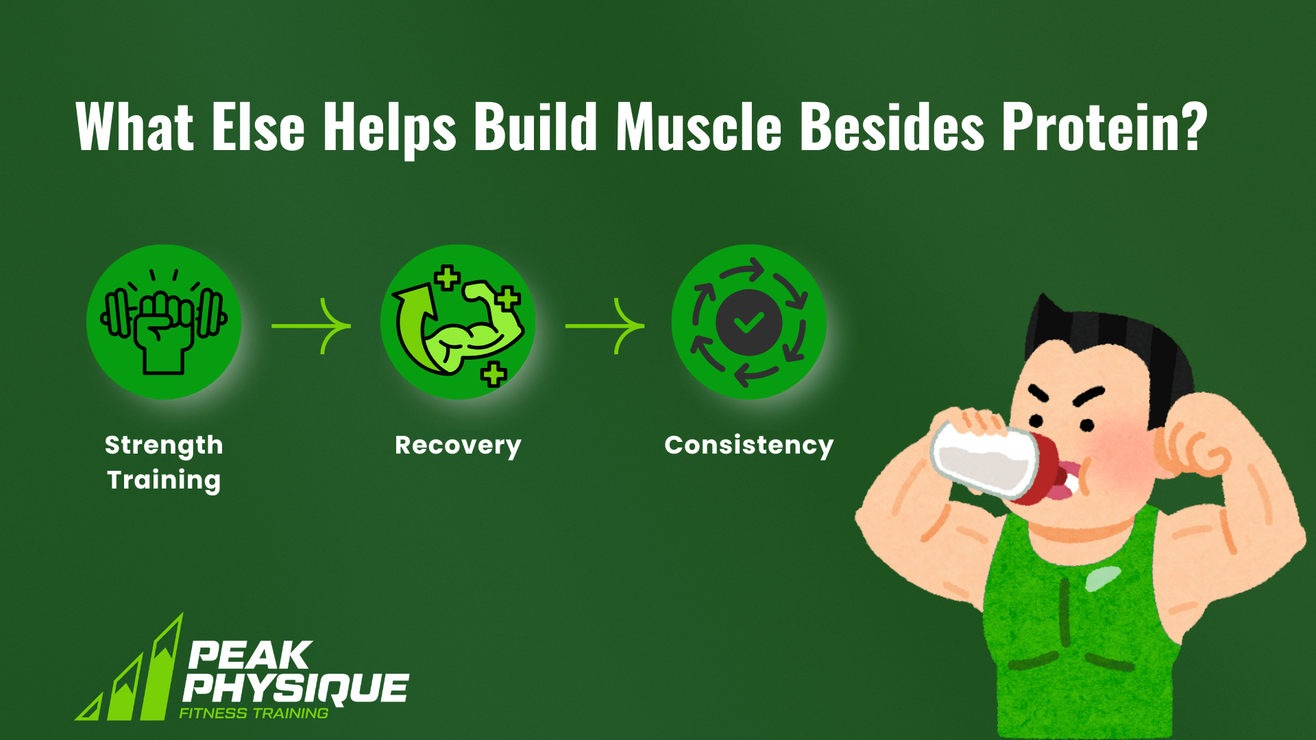 graphic explaining the other things that help build muscles