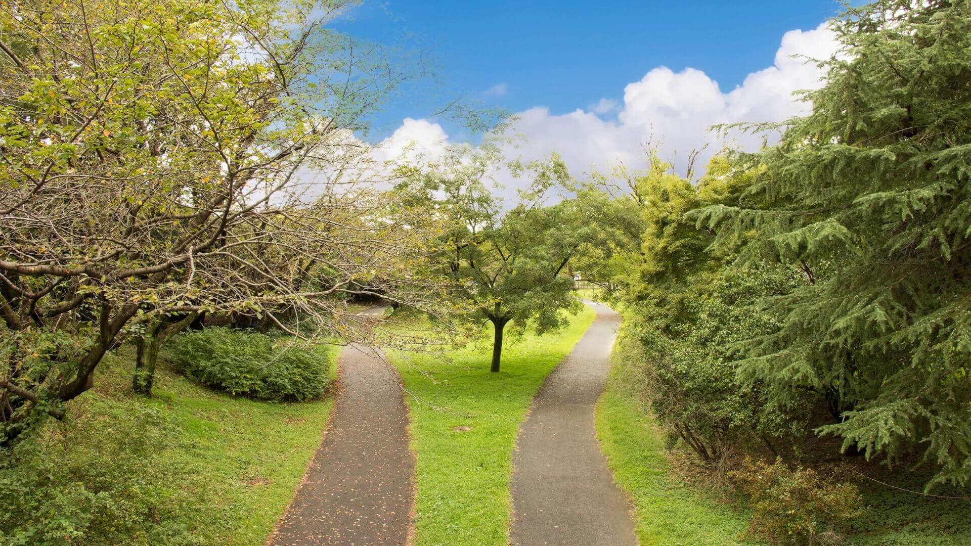 The Best Walking Trails in Troy, MI for Exercise and Stress Relief