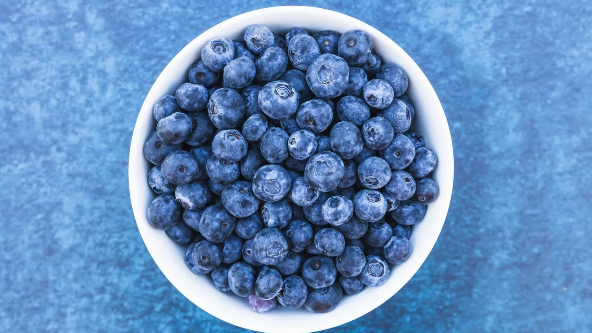a bowl of blueberries