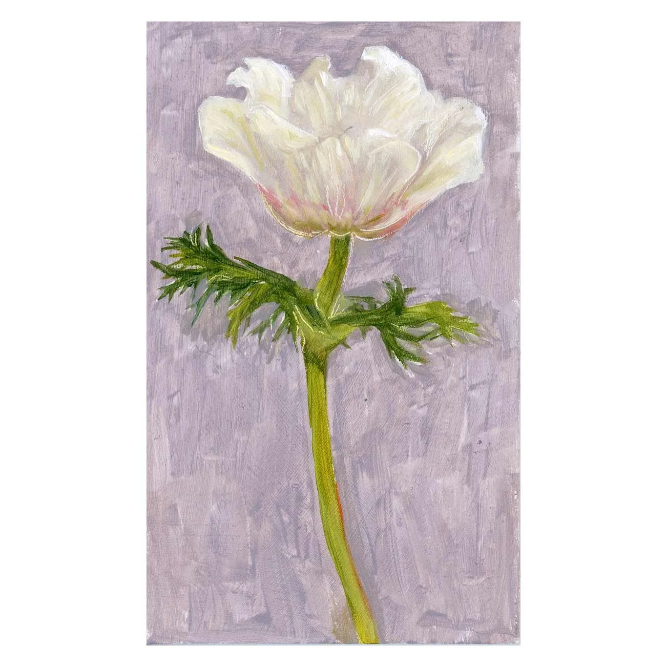 Anemone-#1_square.jpg