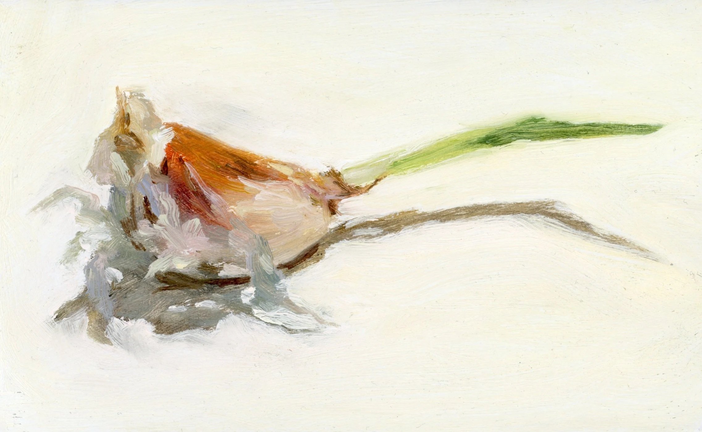 Newlyn School of Art Fundraiser
