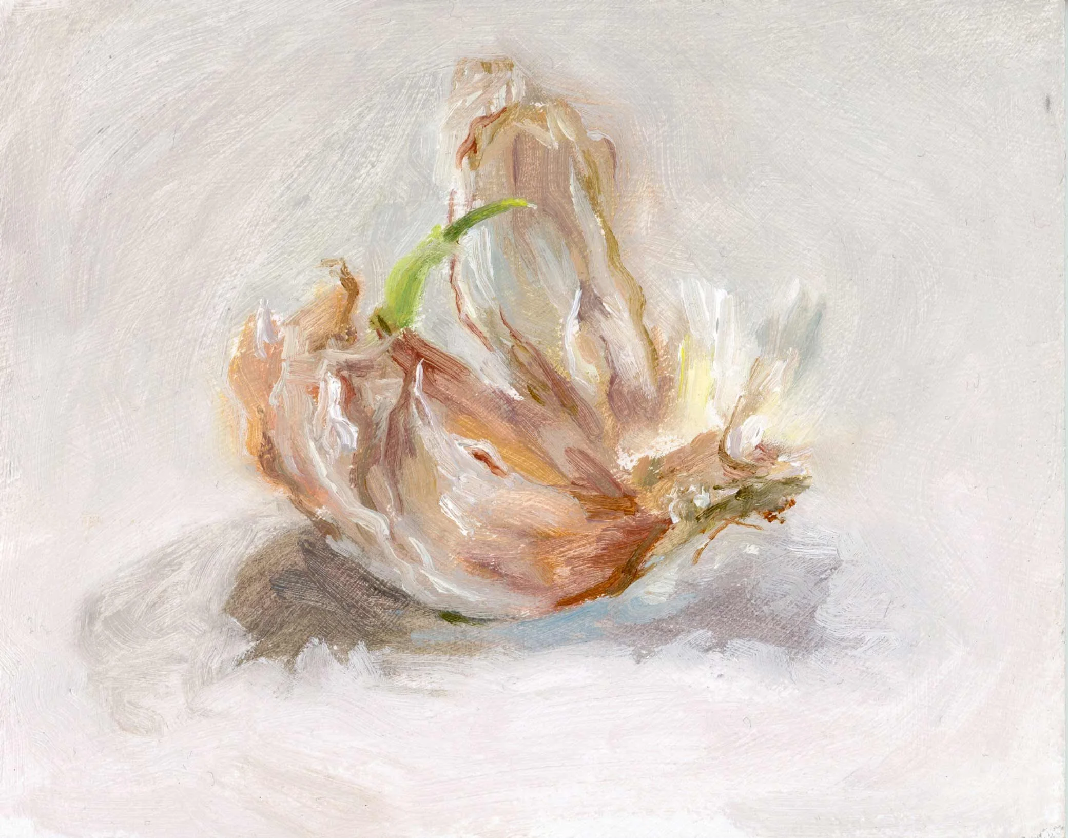 3.-Flamboyant-Garlic-web.jpg