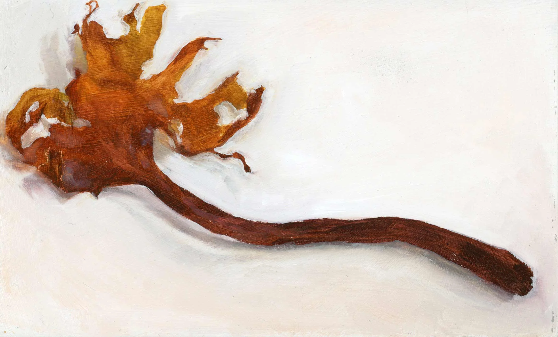 11.-Seaweed-from-Newlyn-web.jpg