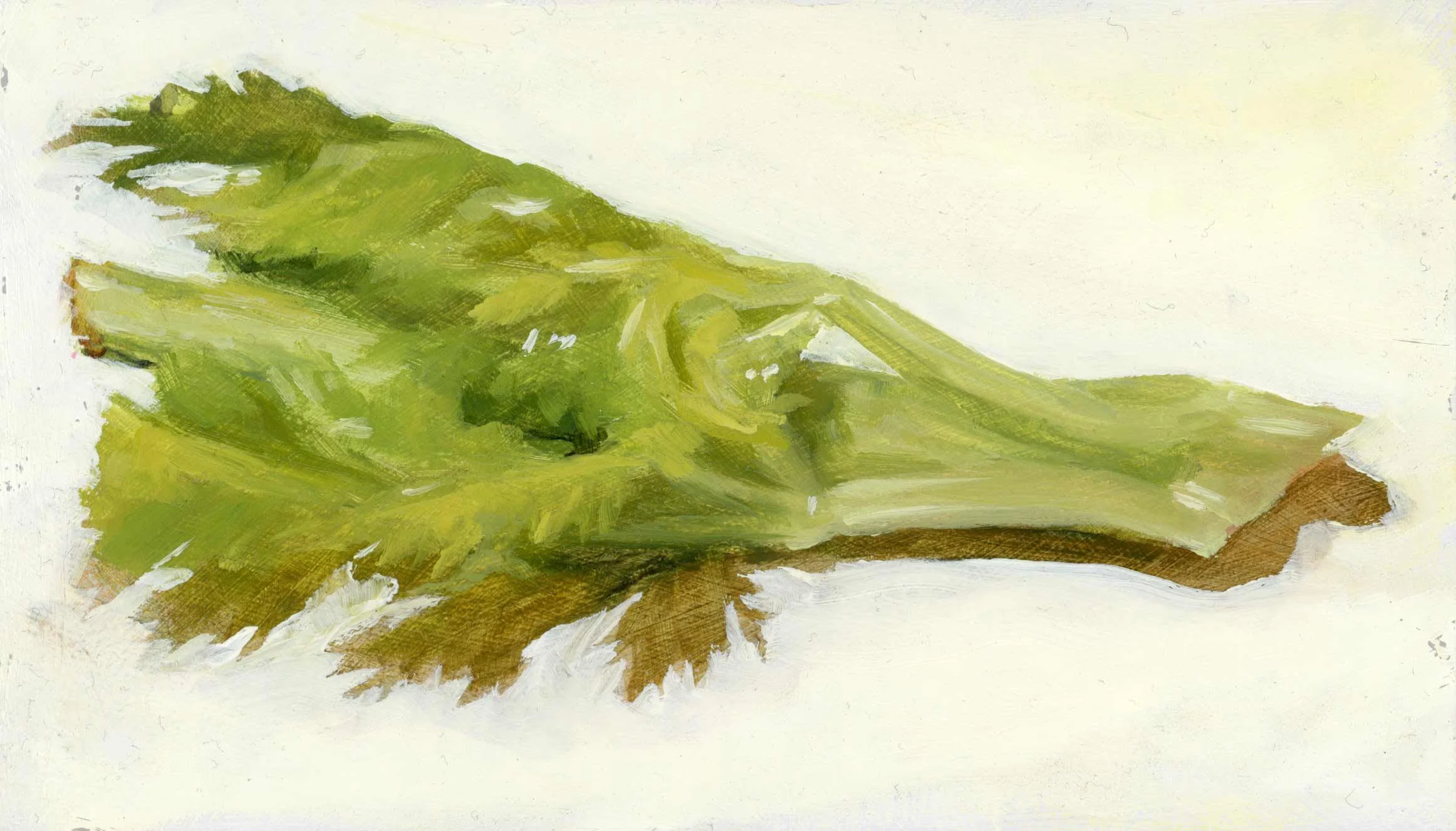 8.-Celery-Stalk-Study-#1-web.jpg