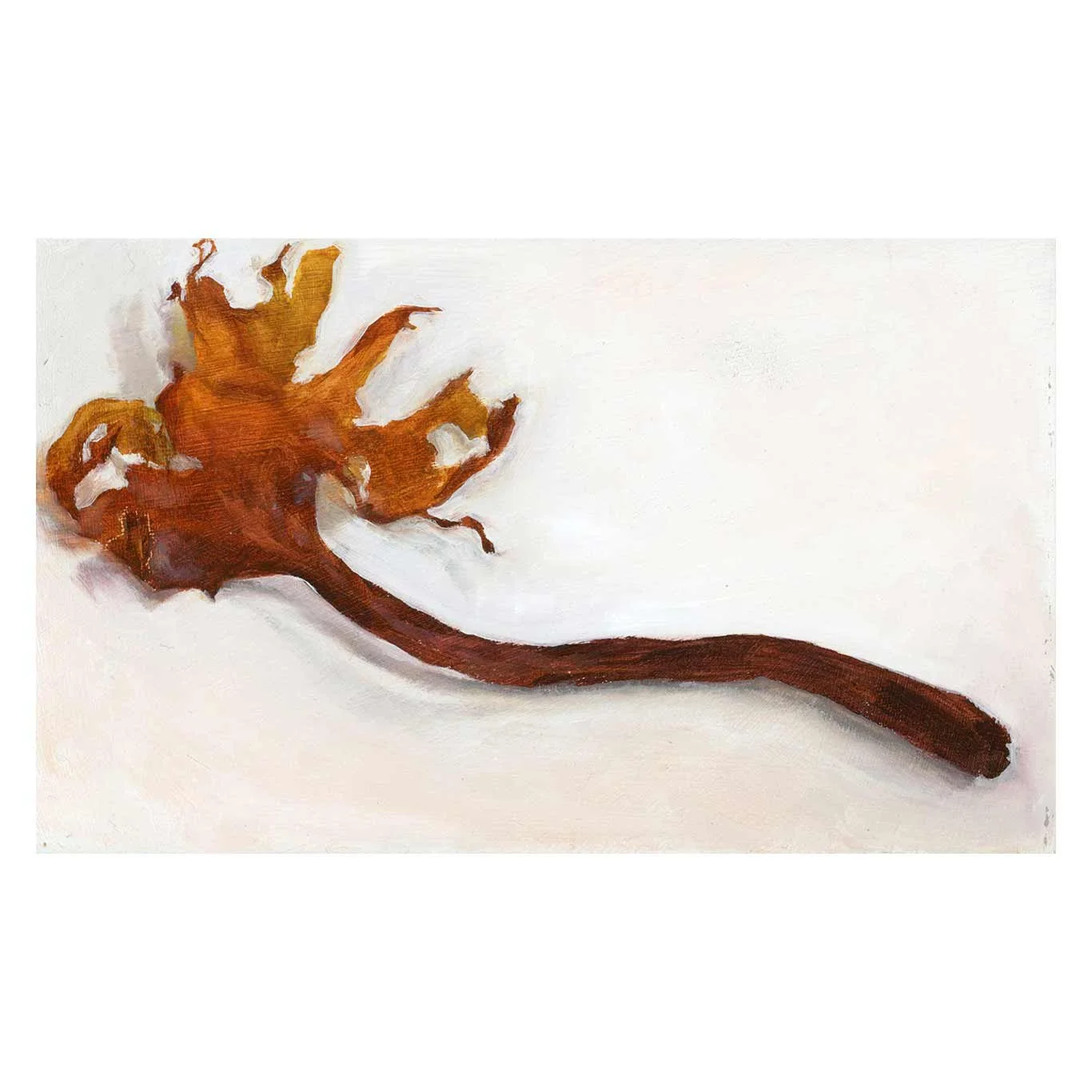 Seaweed-from-Newlyn_square.jpg