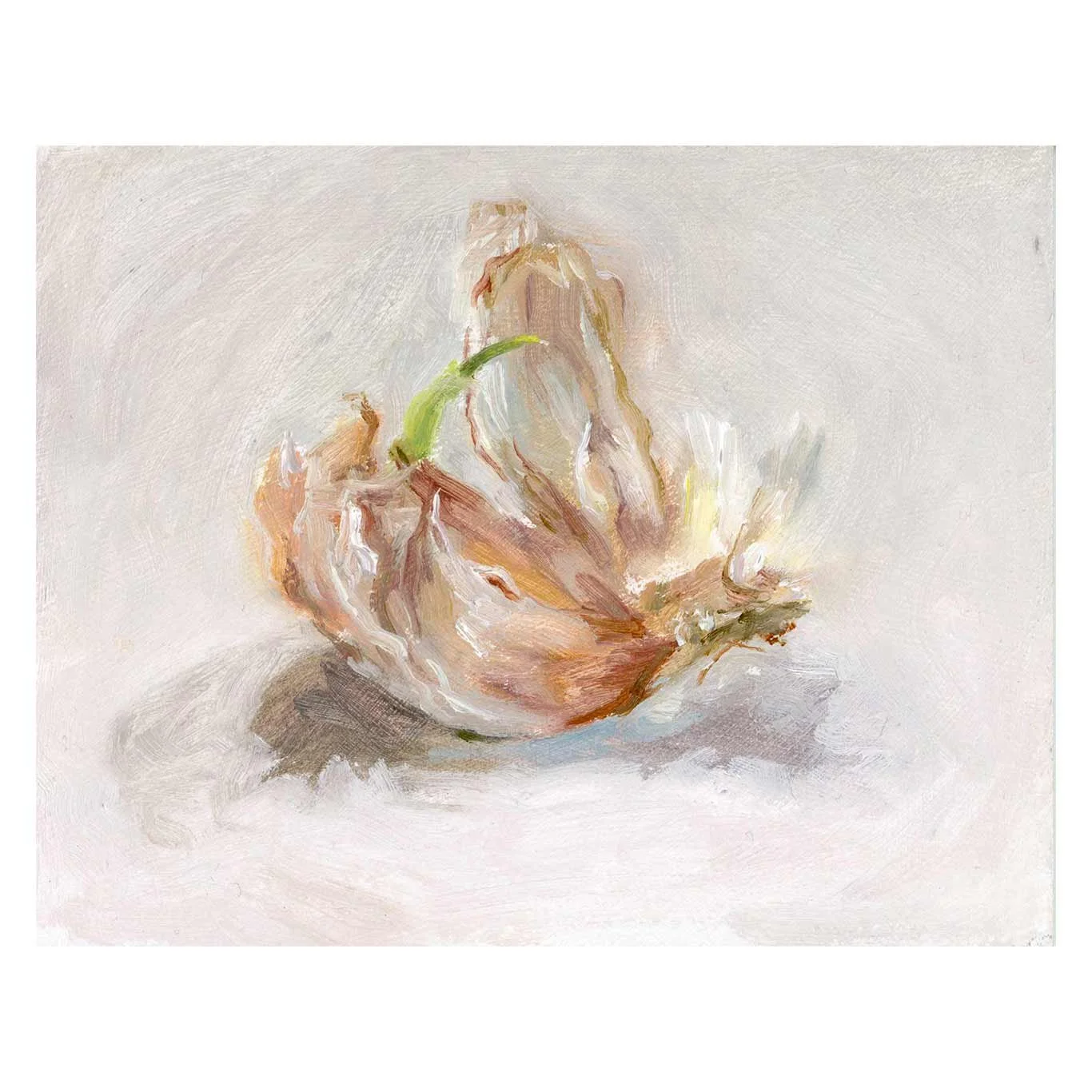 Flamboyant-garlic_square.jpg