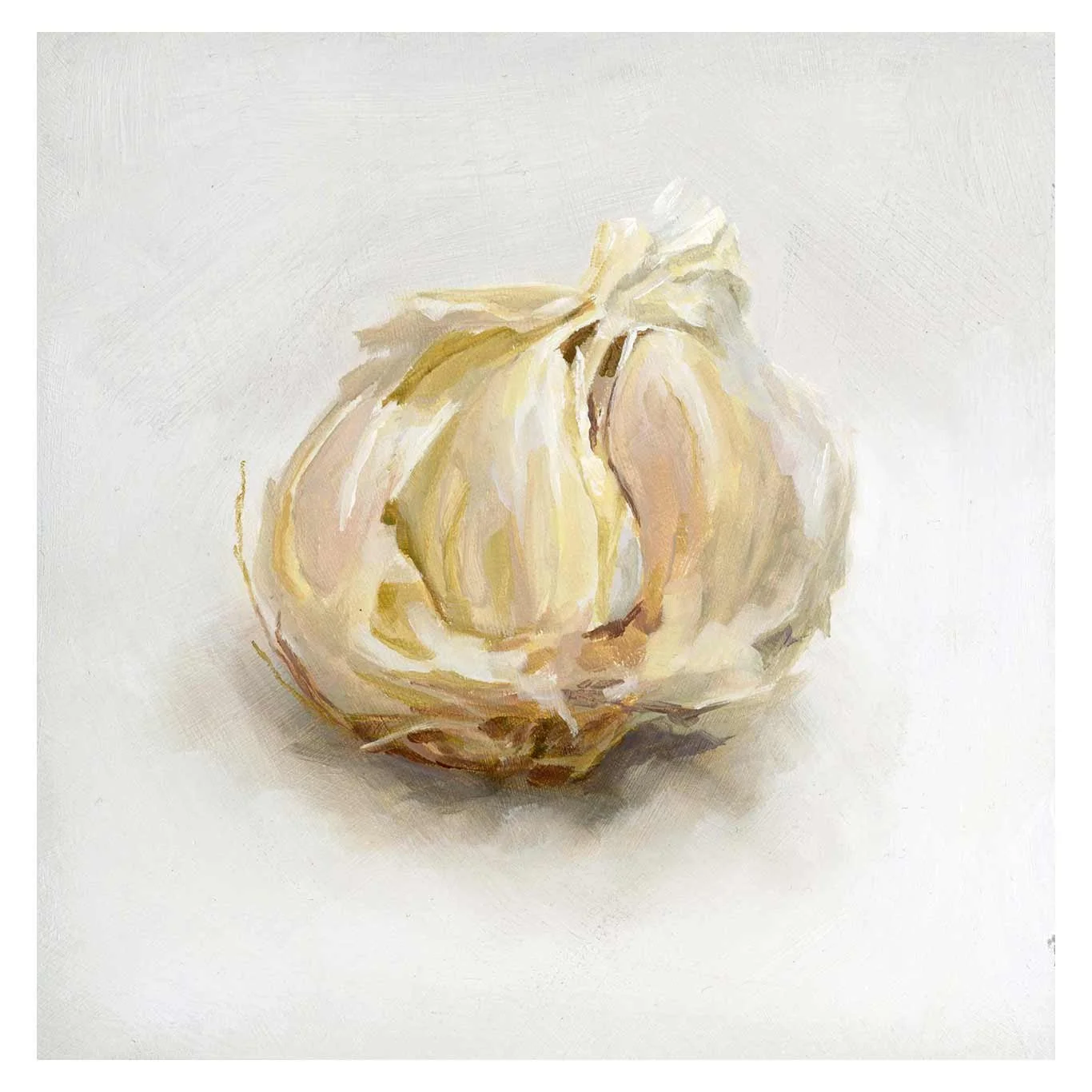 White-garlic_square.jpg