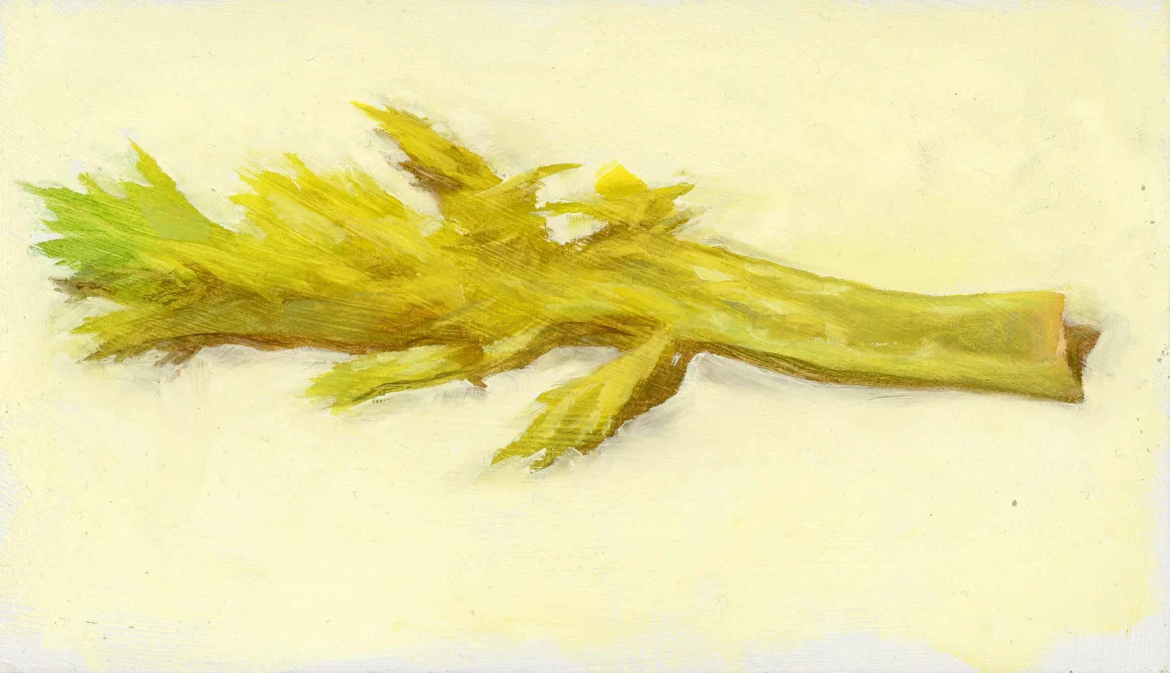 9.-Yellow-Celery-Stalk-web.jpg