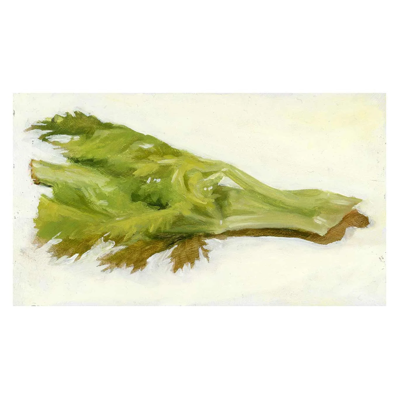 Celery-stalk-study-#1_square.jpg