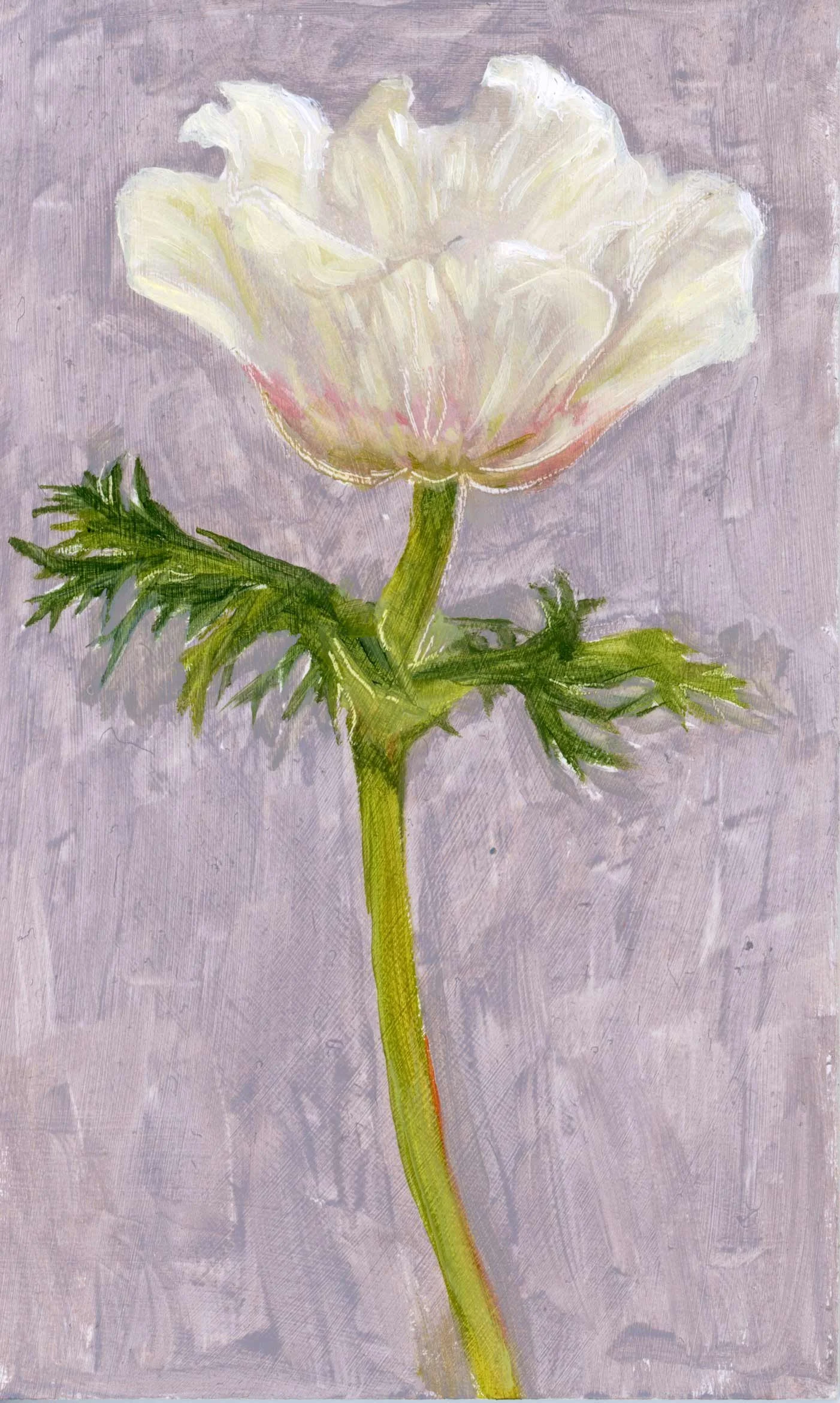 12.-Anemone-Study-#1-web.jpg