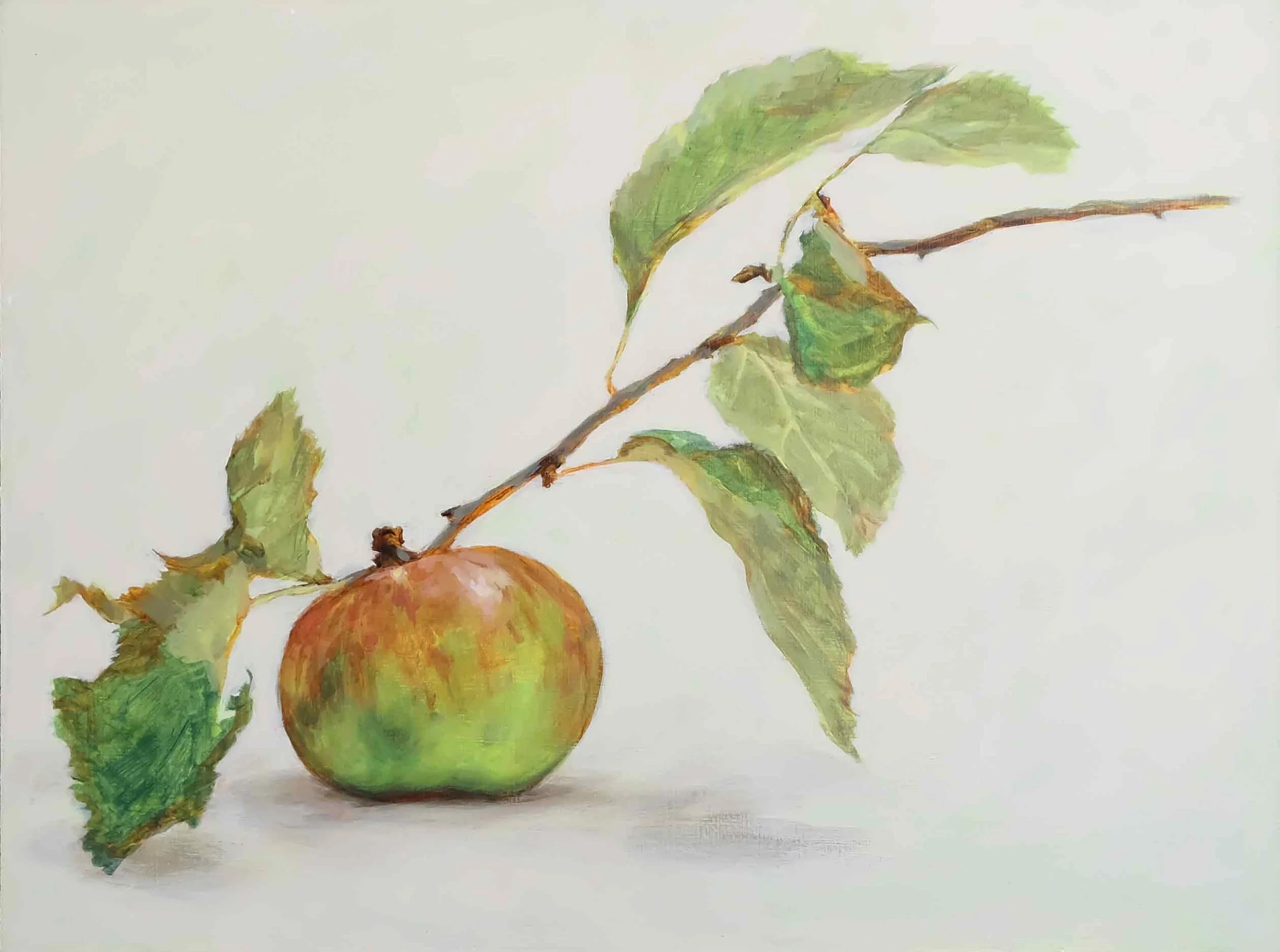 Apple-with-a-long-stem-close-up-web.jpg