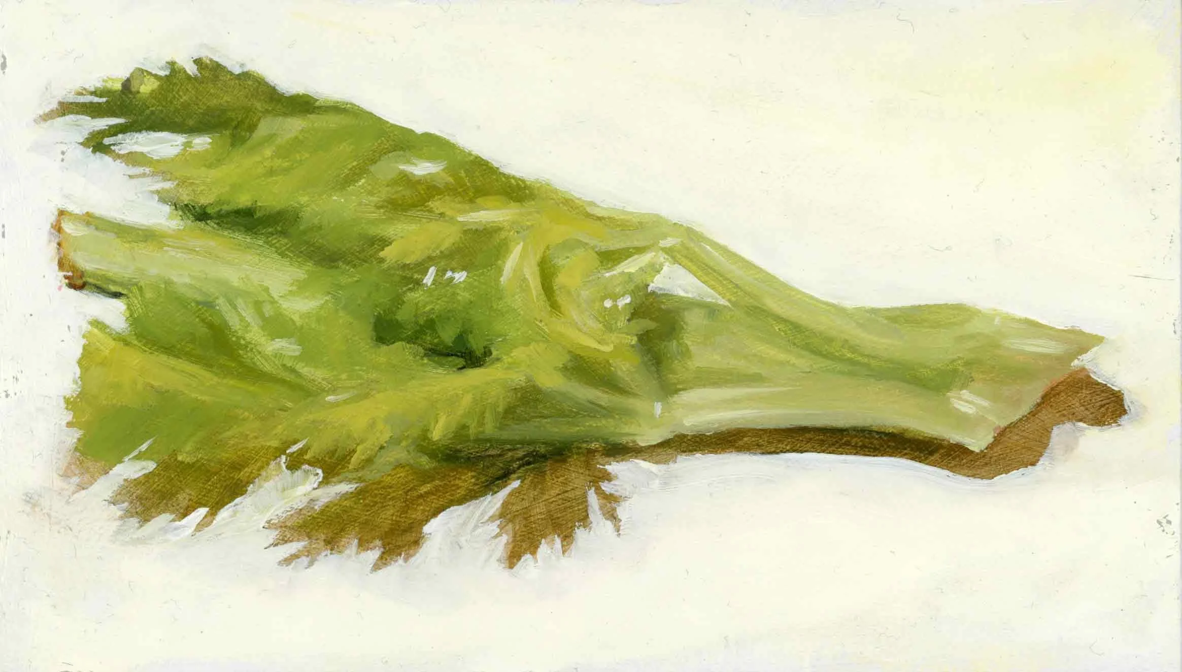 8.-Celery-Stalk-Study-1_web.jpg