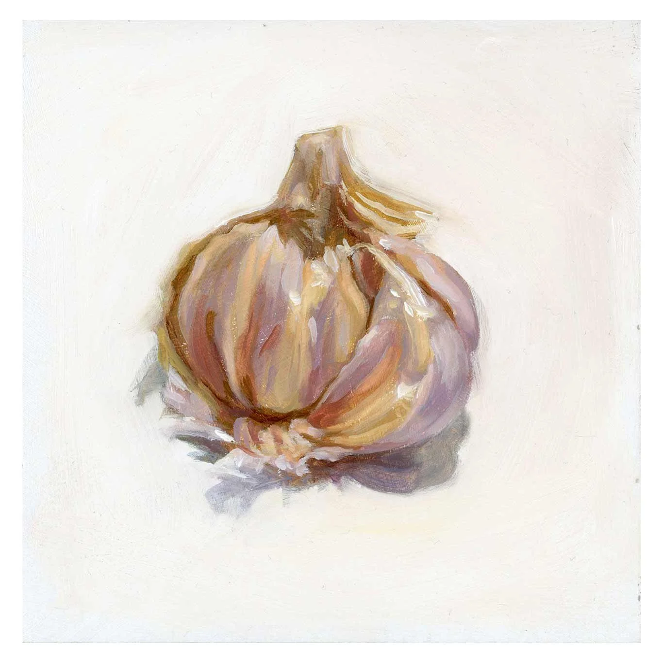 Garlic-before-Goretti_square.jpg
