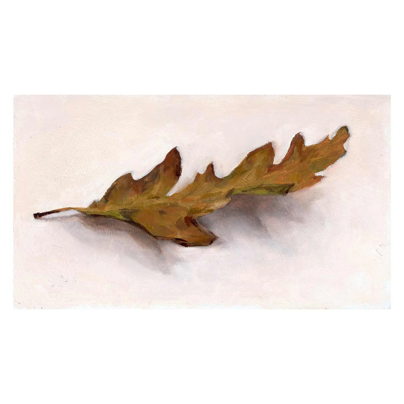 Oak-leaf_square.jpg