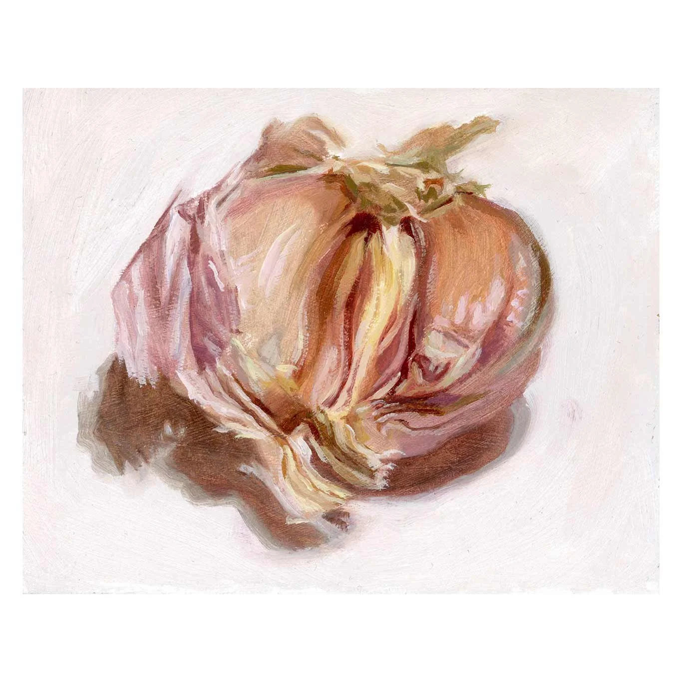 Anatomy-of-a-garlic_square.jpg