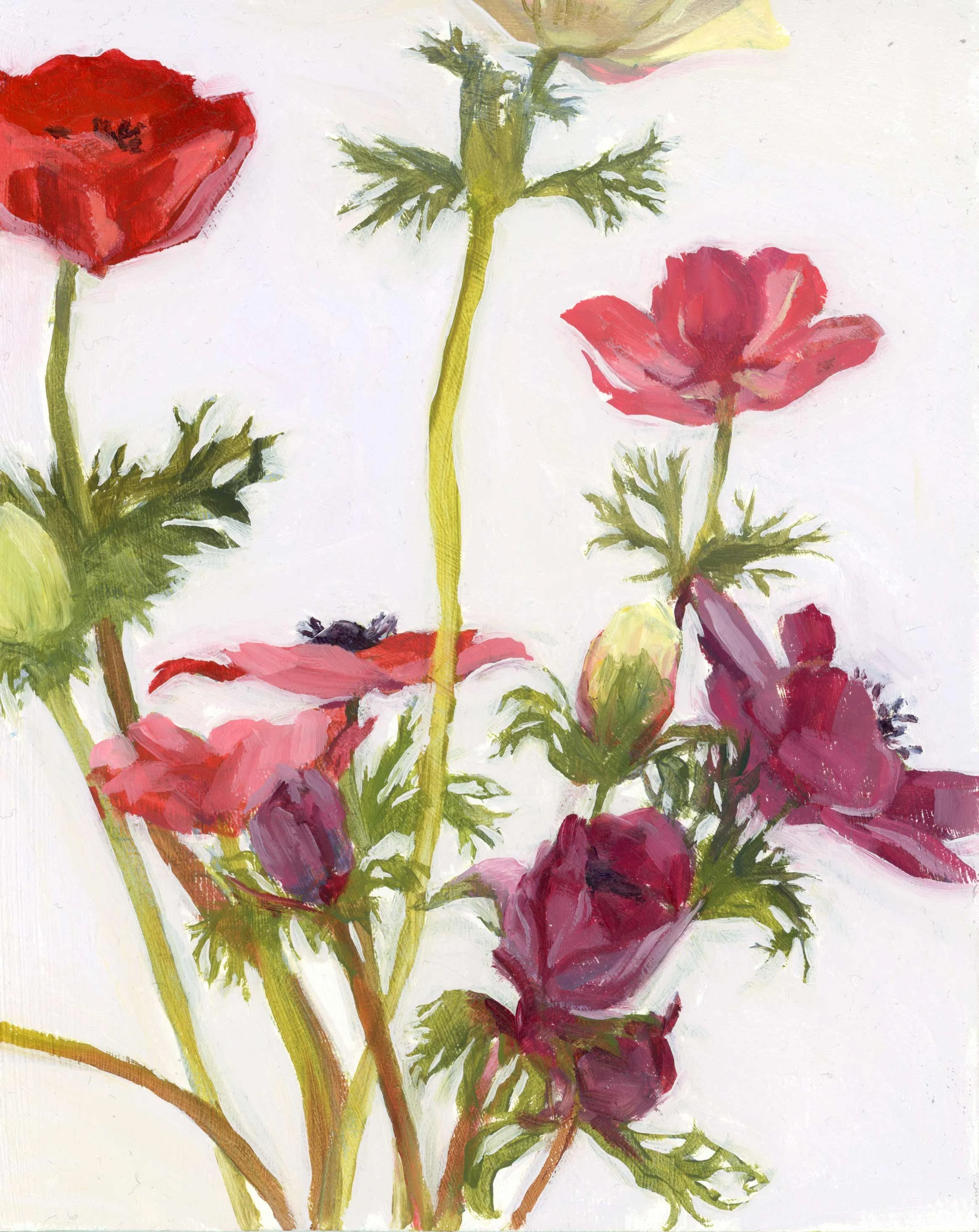 14.-Bunch-of-Anemones-web.jpg
