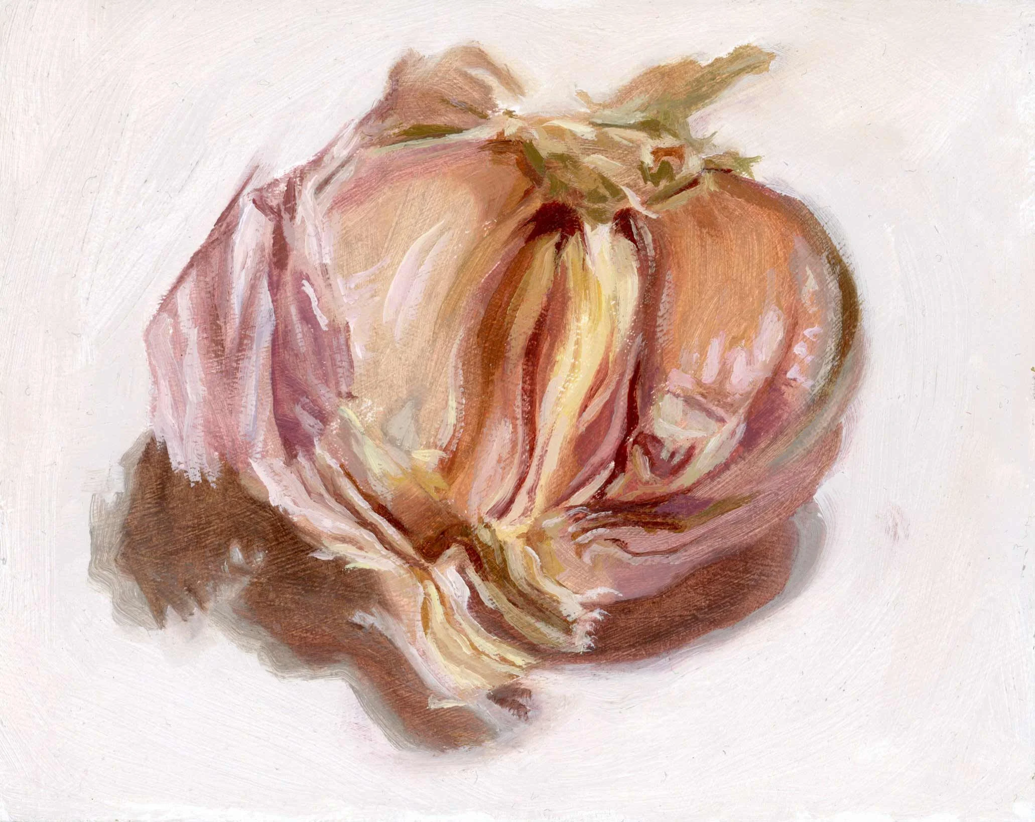 25.-Anatomy-of-a-Garlic-web.jpg