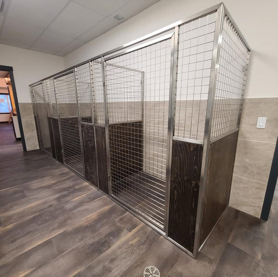 Empty stainless steel and wire mesh dog kennels in a room with wood-look flooring and white walls.