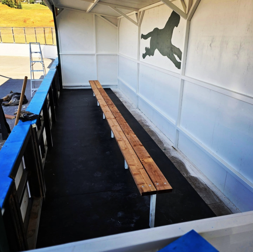Empty sports team dugout with a long wooden bench and a mural of a running dog on the wall.