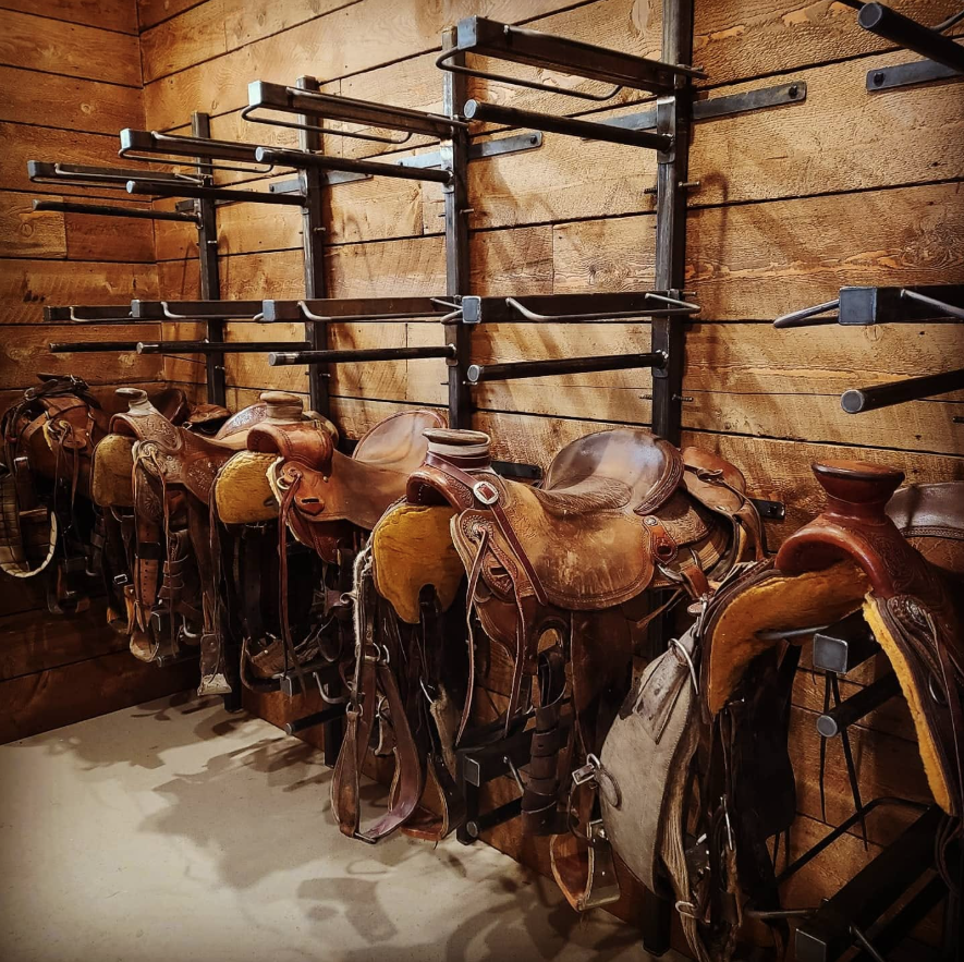 Horse riding saddles and racks for storing riding gear, mounted on a wooden wall.