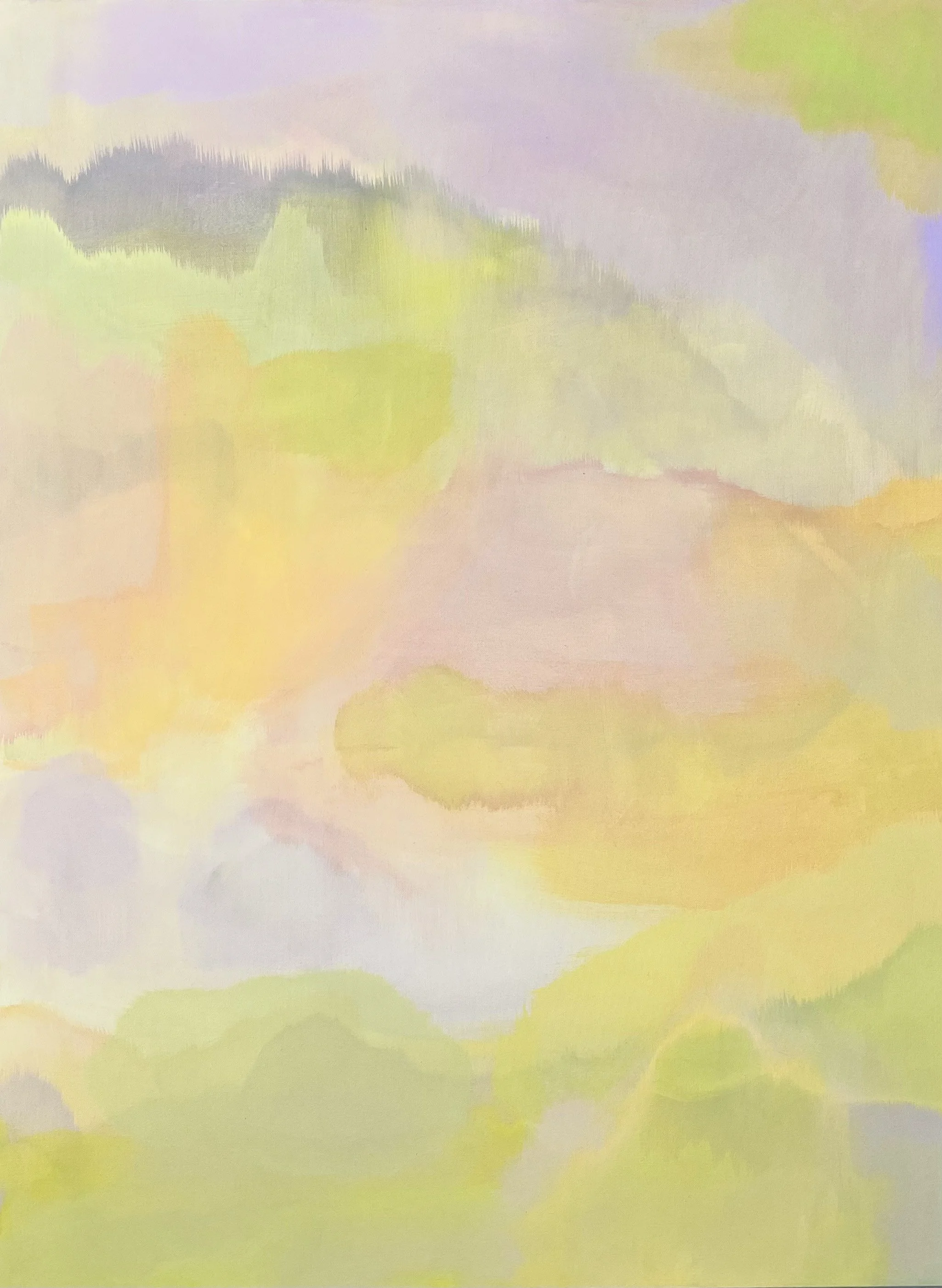Bart Graziana OCCULAR MIGRAINE 30"x40" Acrylic on canvas