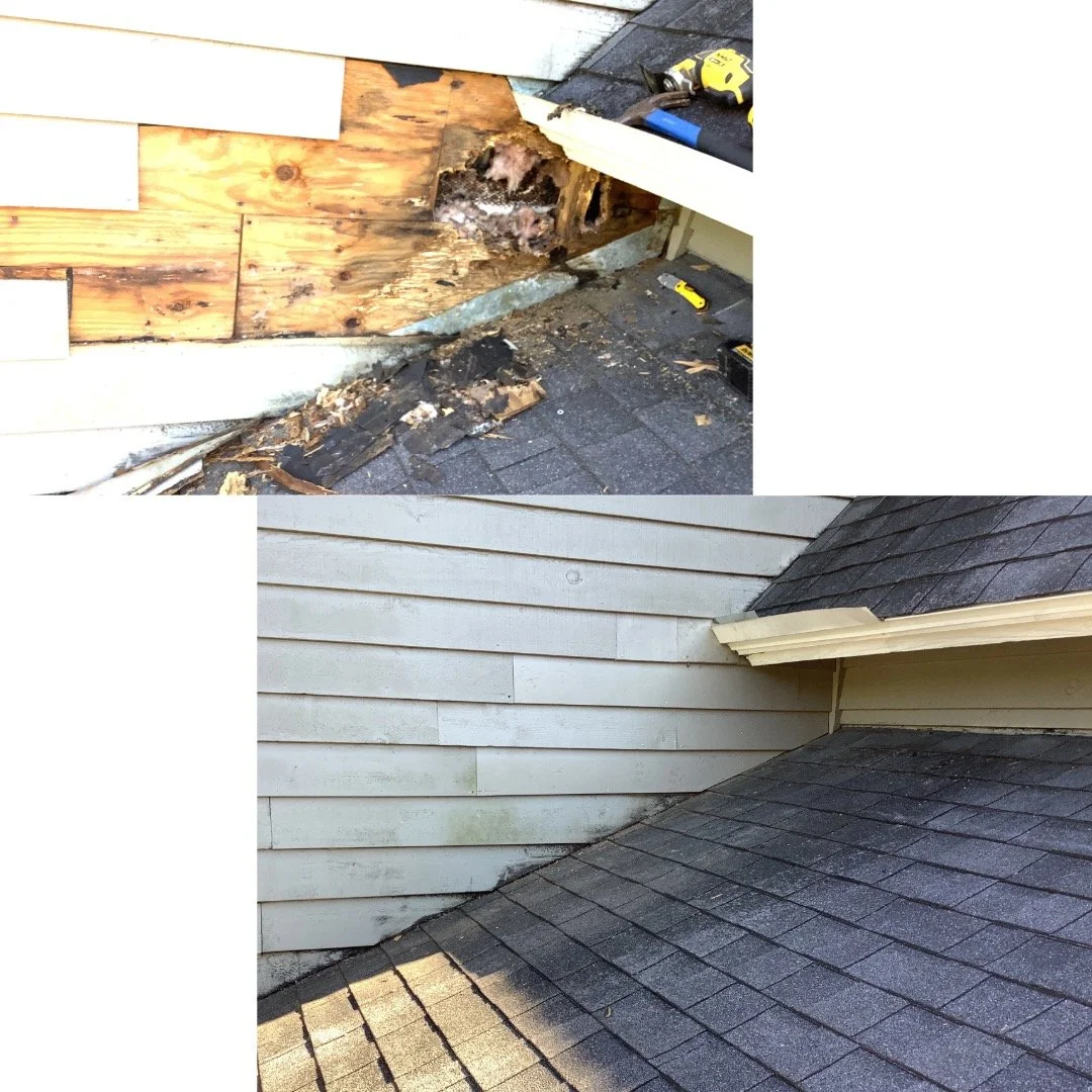 Tampa contractor removing wood rot and repairing termite-damaged framing around a home’s exterior.