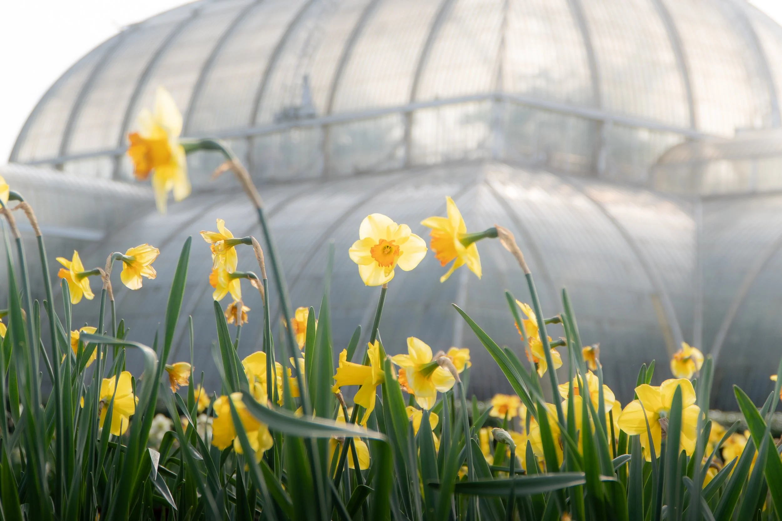 Kew Gardens, London