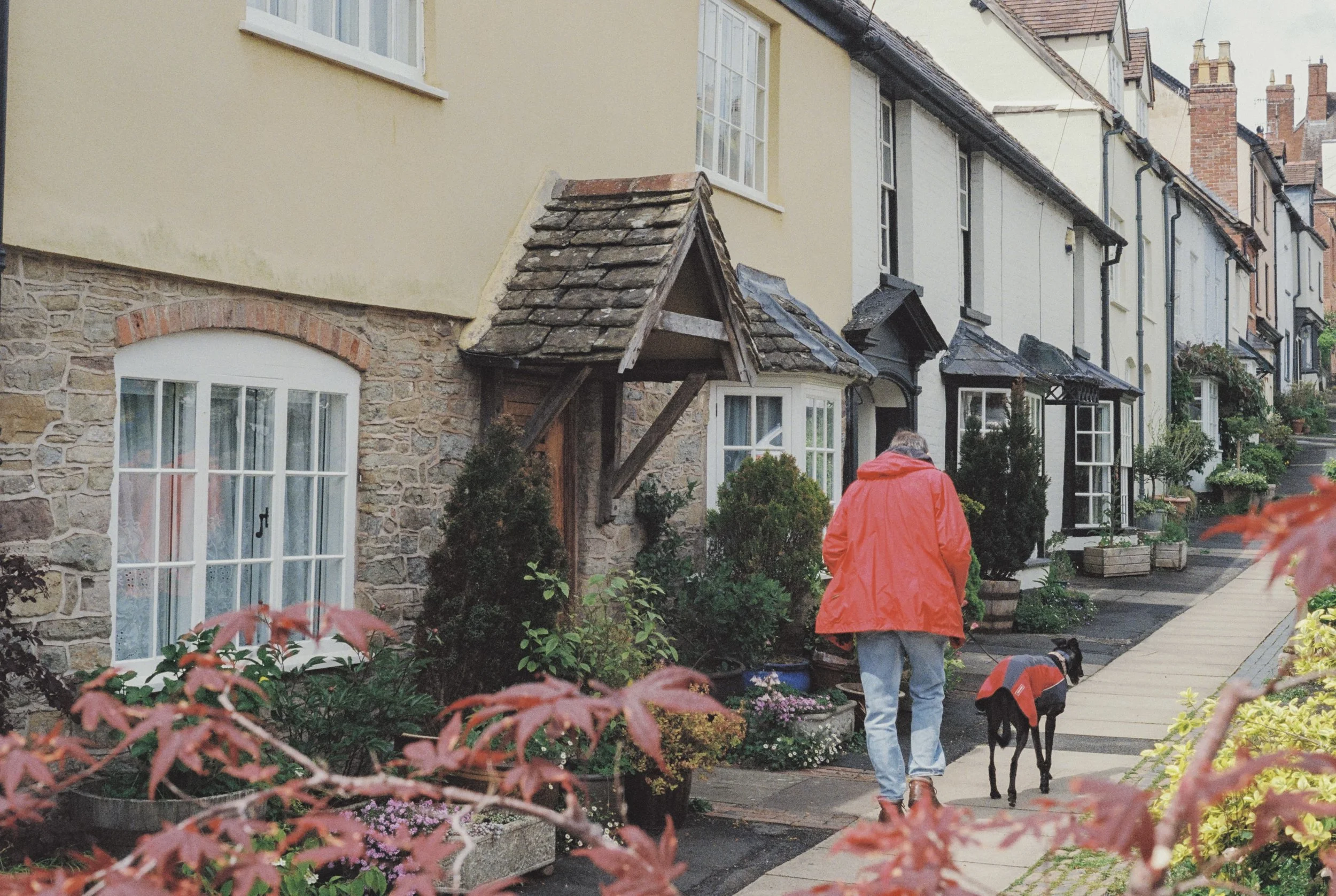 Nikon FE Kodak Ultramax 400, Ludlow